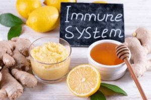 Stärkung des Immunsystems durch pflanzliche Ernährung - Blog Bild Gesundheitsparadies