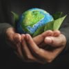 Warum ist Nachhaltigkeit wichtig für die Umwelt und unsere Zukunft - Gesundheitsparadies Gesundheitsblog