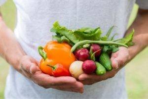 Auf Nummer sicher gehen Bio-Lebensmittel Vorteile für einen pestizidfreien Genuss - Gesundheitsparadies Gesundheitsblog