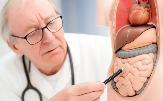 Darmflora aufbauen mit Hausmitteln – Darmsanierung leicht gemacht - Gesundheitsparadies.net