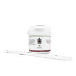 ZahnFix Revital Liposomal (40ml)