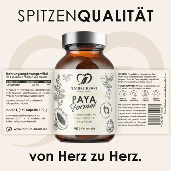 Darm Cleanse Bundle – 4-fach-Kur für deine Darmgesundheit – Bild 3