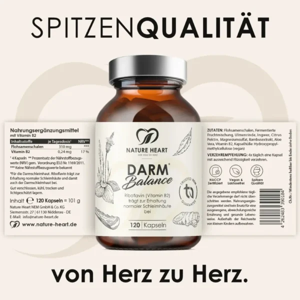 Darm Cleanse Bundle – 4-fach-Kur für deine Darmgesundheit – Bild 4
